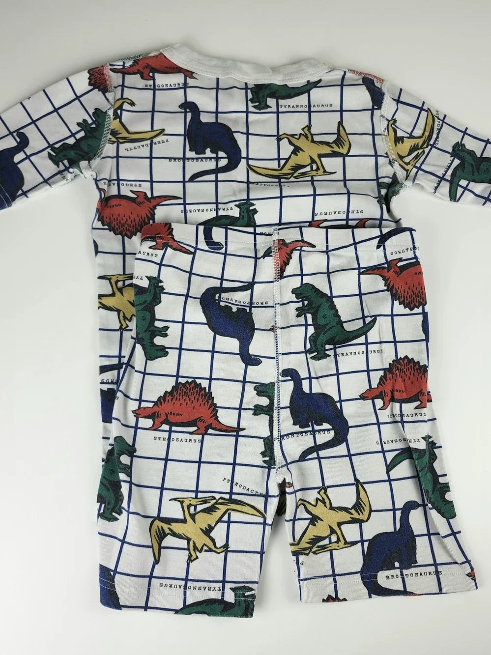 Hanna Andersson Pajama Set with Red Green Blue Yellow Dinosaurs